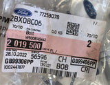 Genuine Ford Fuel Pump Screws (M6 x 20mm, Pack of Two Screws) - 2019500