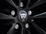 Jaguar Carbon Fibre Wheel Centres