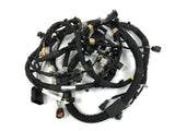 Genuine Land Rover Disco 5/Range Rover 3.0L V6 Engine Wiring - LR118761