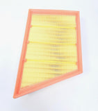 Britpart Range Rover/Freelander 2.0 Petrol Air Cleaner Filter Element LR029078