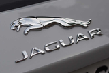 Insigne de demi-saut Jaguar E-Pace