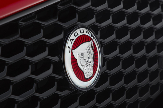 Jaguar-Kühlergrill-Emblem – ohne Geschwindigkeitsregelung