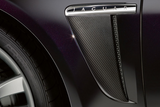 Persiennes d'aile en fibre de carbone pour Jaguar XF