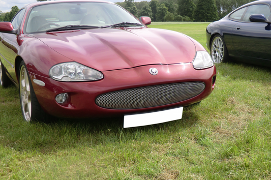 Konvexer Gittergrill für Jaguar XKR und XK8