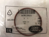 Genuine Jaguar E-Pace 2017+/XE/F-Type Timing Chain Solenoid O-Ring AJ813521