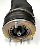 Genuine Range Rover 2002-2009 4.4L V8 3.0L LH Front Shock Absorber - RNB000750