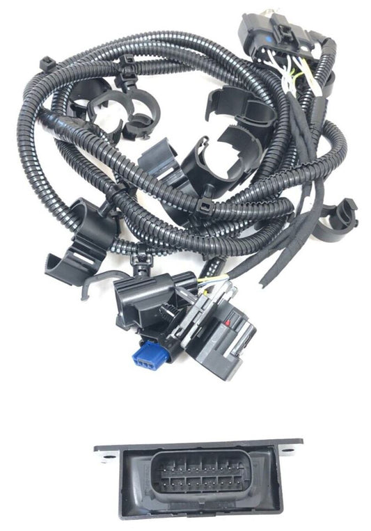 Genuine Ford Focus 2011-2018 Wiring Loom (1.6L Ecoboost) 2180990