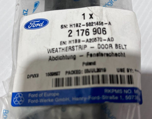 Genuine Ford Fiesta 2017+ RH Front Door Inner Weatherstrip 2176906
