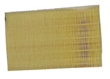 Genuine Jaguar XK 2006-2014 Air Filter - C2P6500