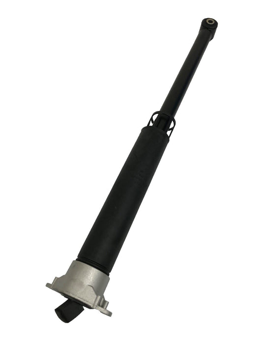 Genuine Ford Fiesta CE1 2017+ Shock Absorber 2523819