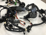Genuine Land Rover Discovery Sport 2015+ Engine & Dash Wiring Harness - LR084902