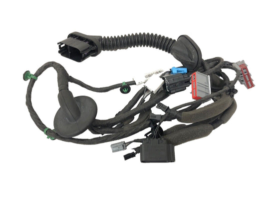 Genuine Range Rover Evoque 2012 - 2018 Rear LH Door Wiring LR085871