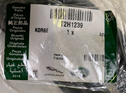 Genuine Jaguar XF Saloon 16+ Rear Door Aperture Seal T2H1239