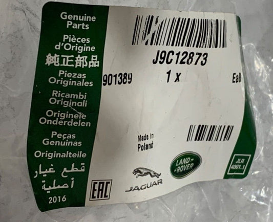 Genuine Jaguar E-Pace 2017+ RH Front Door Seal J9C12873