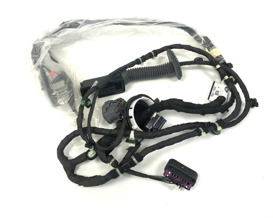 Genuine Range Rover 2022+ RHD Rear LH Door Wiring - LR183950