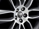 Jaguar Carbon Fibre Wheel Centres