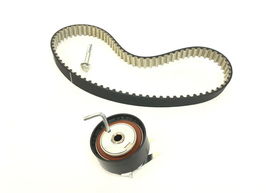 Genuine Land Rover Disco 4/5/Range Rover Fuel Pump Drive Belt Kit - LR069054