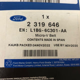 Genuine Ford Fiesta CE1/Focus CGE/Puma CF7 Driving V- Belt 2319646