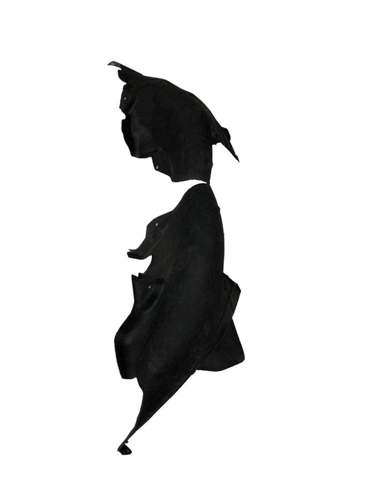 Genuine Land Rover Discovery 5 2017+ RH Wheelhouse Splash Shield LR142421