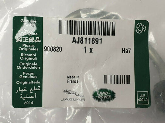 Genuine Land Rover/Jaguar (2.2L TD) Cylinder No.2 Injector Tube