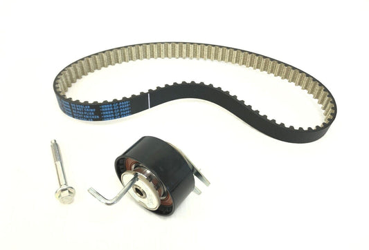 Genuine Land Rover Disco 4/5/Range Rover Fuel Pump Drive Belt Kit - LR069054