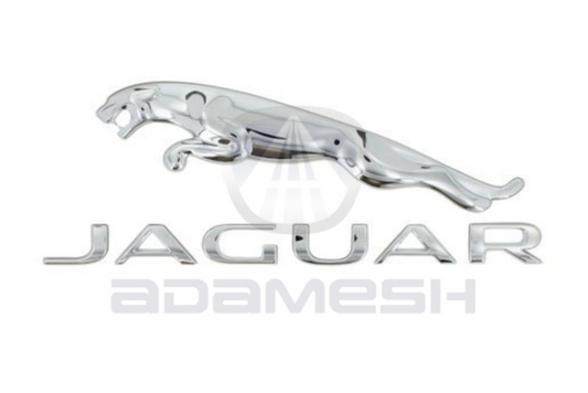 Early Jaguar & Leaper Badge