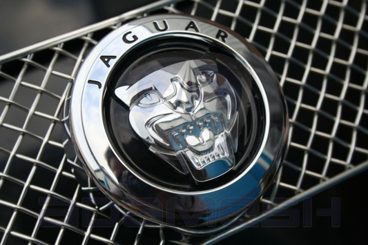 Jaguar Badge & Plinth