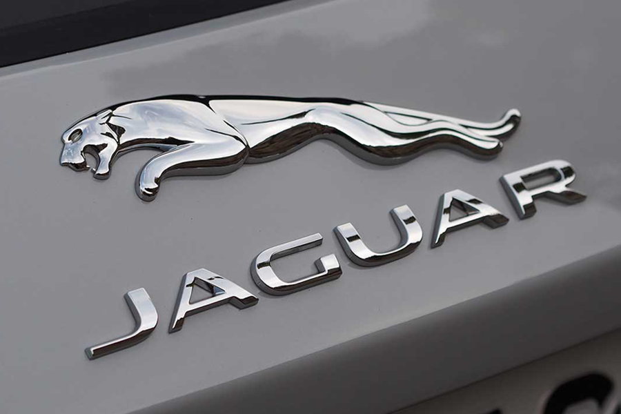 Jaguar E-Pace Half Leaper Badge