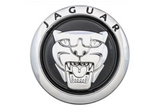 Jaguar Early Black Grille Badge