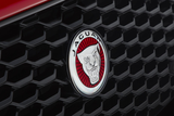 Jaguar Grille Badge - Without Speed Control