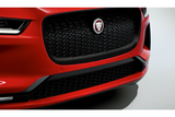 Jaguar I-Pace Carbon Fibre Grille Surround