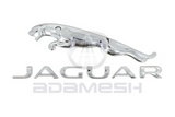 Early Jaguar & Leaper Badge