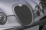 Jaguar S-Type-Grilleinsatz aus Maschendraht – Modelle nach 2004