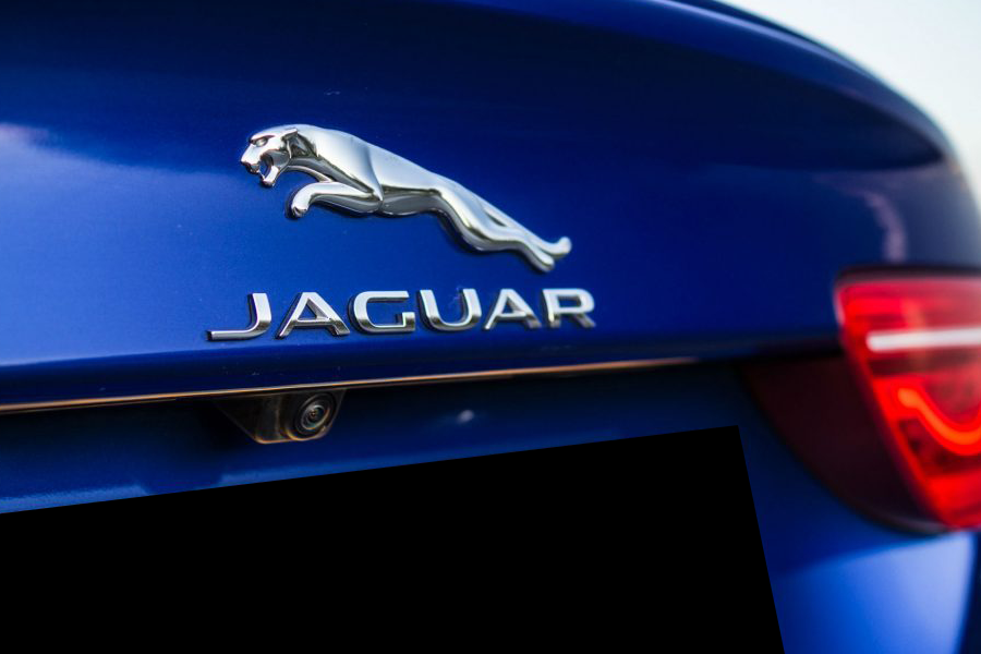 Jaguar XE Leaper Badge